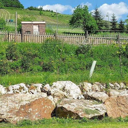Huettenflair-Mosel Ferienwohnung Enkirch Ngoại thất bức ảnh