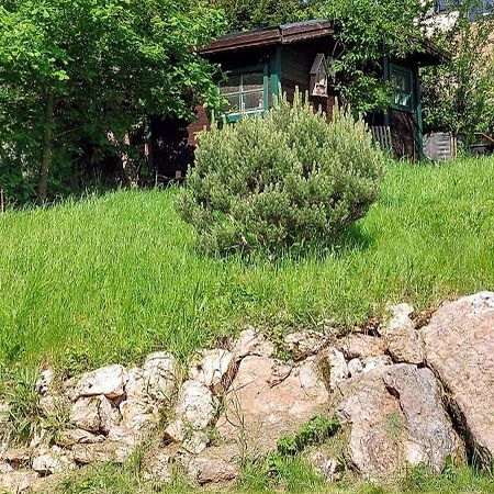 Huettenflair-Mosel Ferienwohnung Enkirch Ngoại thất bức ảnh