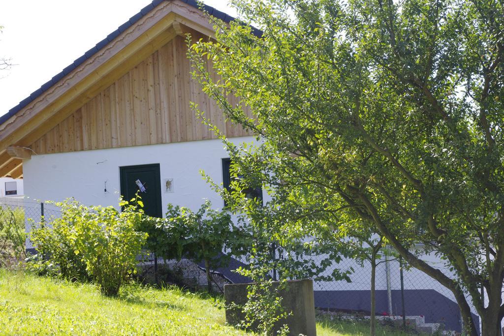 Huettenflair-Mosel Ferienwohnung Enkirch Ngoại thất bức ảnh