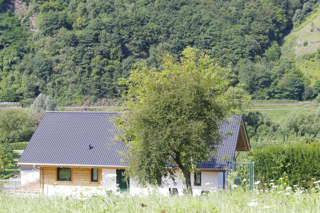Huettenflair-Mosel Ferienwohnung Enkirch Ngoại thất bức ảnh
