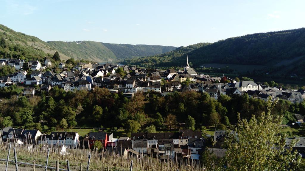 Huettenflair-Mosel Ferienwohnung Enkirch Ngoại thất bức ảnh